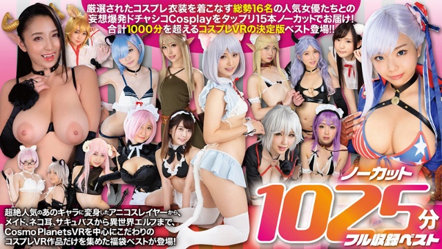 [VR Lucky Bag] From Aniko Slayer to Succubus Maid Elf! ! The dress-up beautiful girls do costume H Uncut 1025 minutes full recording best