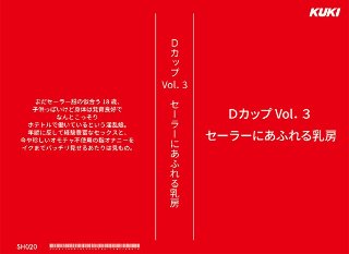 消し忘れビデオ12・ラブホテル物語弐