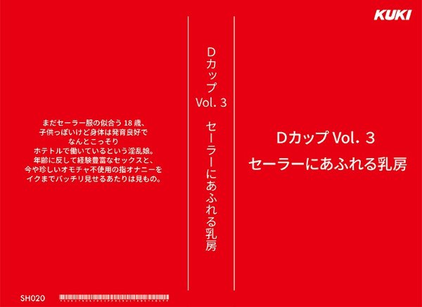 消し忘れビデオ12・ラブホテル物語弐